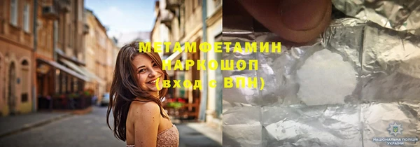 прущие грибы Богородицк