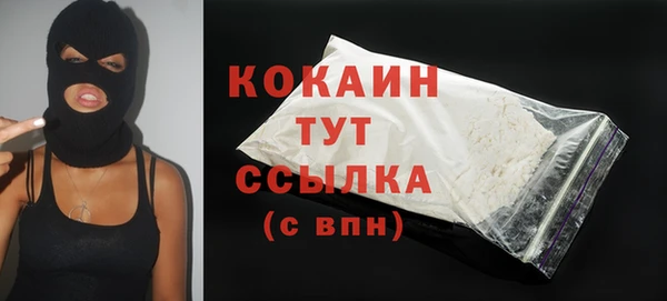прущие грибы Богородицк