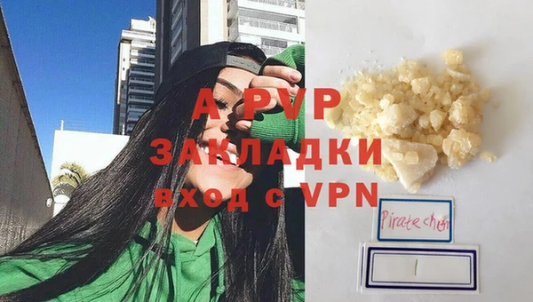 прущие грибы Богородицк