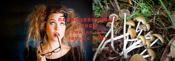 дживик Вуктыл