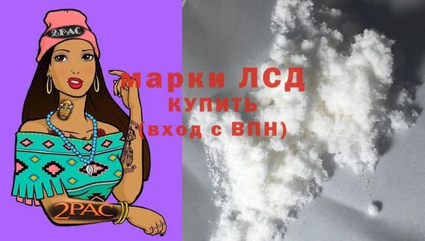 прущие грибы Бронницы