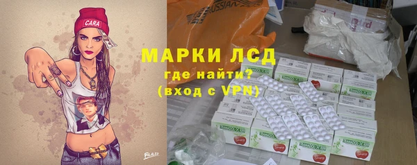 прущие грибы Богородицк